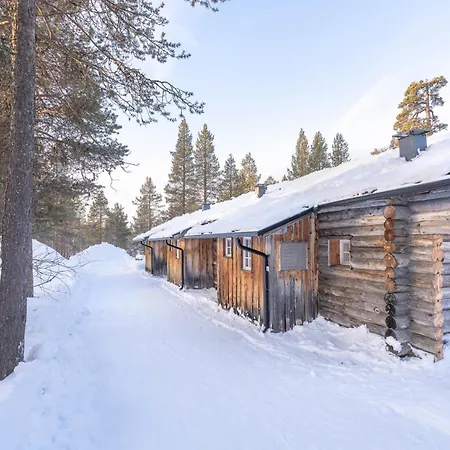 Kuukkeli Tokka Saariselkä