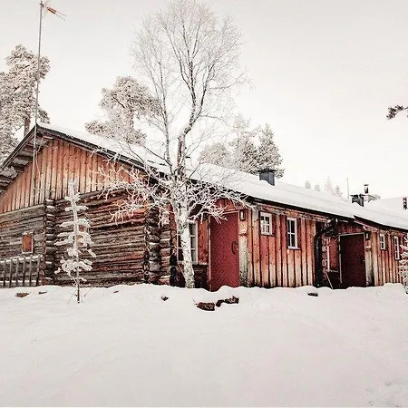 Kuukkeli Tokka Saariselkä