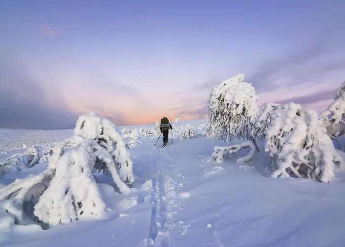 Kuukkeli Tokka Апартаменты